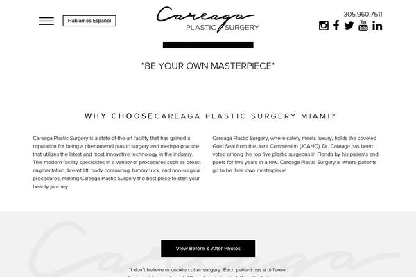 305plasticsurgery.com site used Careagaplasticsurgery_com
