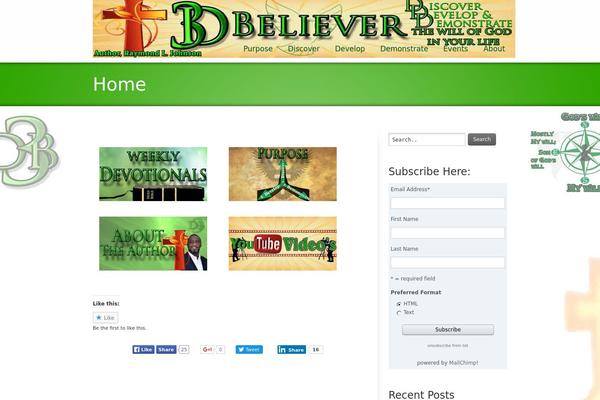WordPress website example screenshot