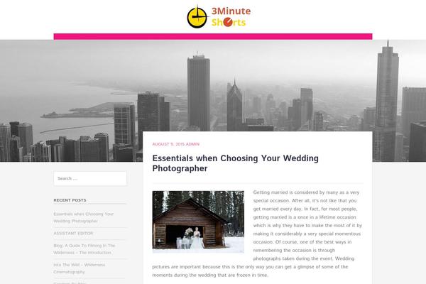 Chicago theme site design template sample