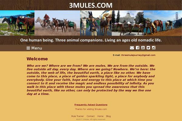 Twenty Sixteen theme site design template sample