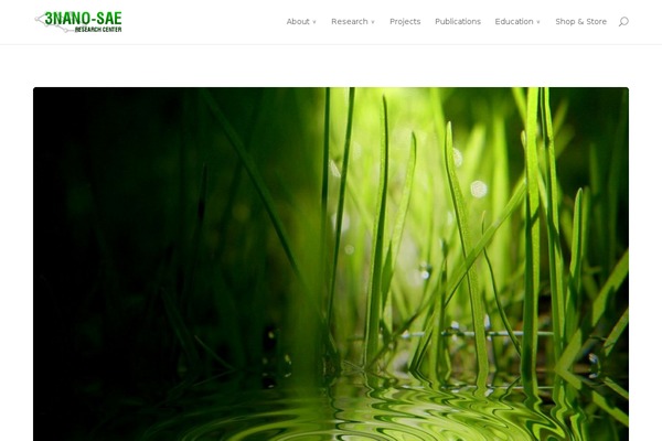 Divi theme site design template sample