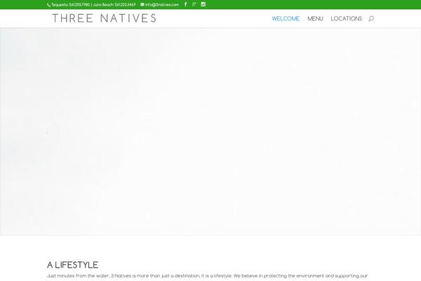 3natives.com site used Divi