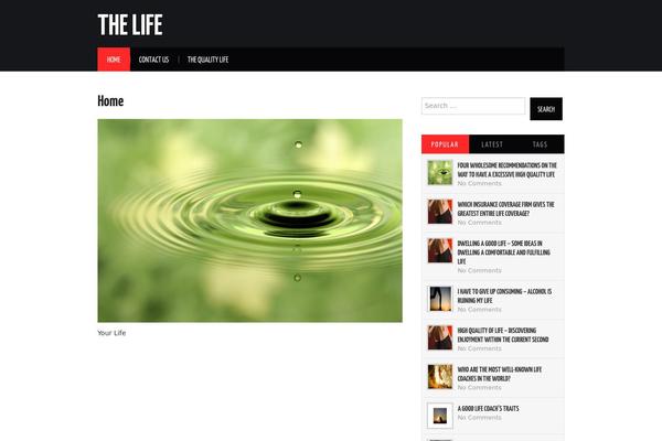 Hiero theme site design template sample