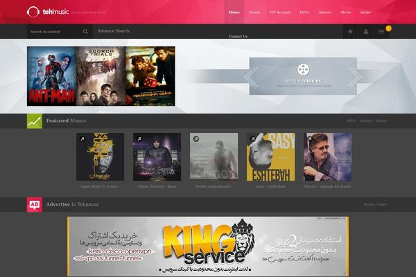 Sky-TehMusic theme websites examples