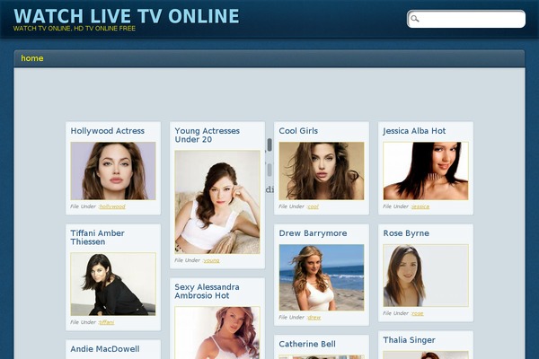 Hueman theme site design template sample