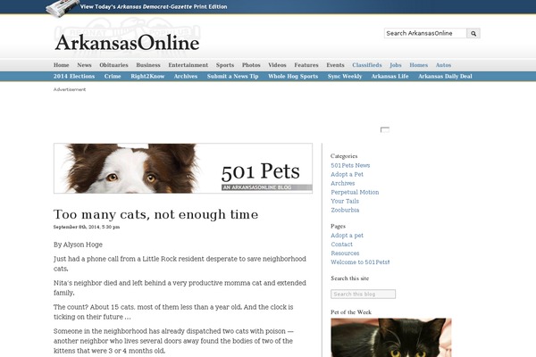 501pets.com site used Ao_new2.0