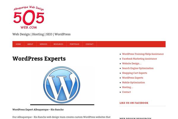 WordPress website example screenshot