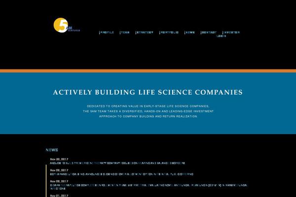 WordPress website example screenshot