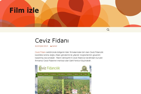 Twenty Thirteen theme site design template sample