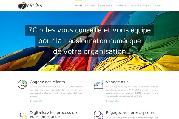 7circles theme websites examples