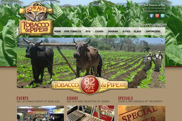 WordPress website example screenshot