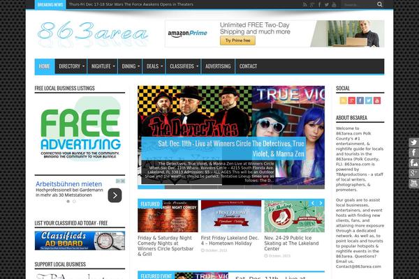 WordPress website example screenshot