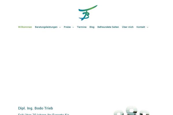 Avada theme site design template sample