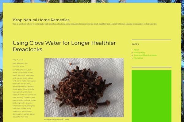 Twenty Sixteen theme site design template sample