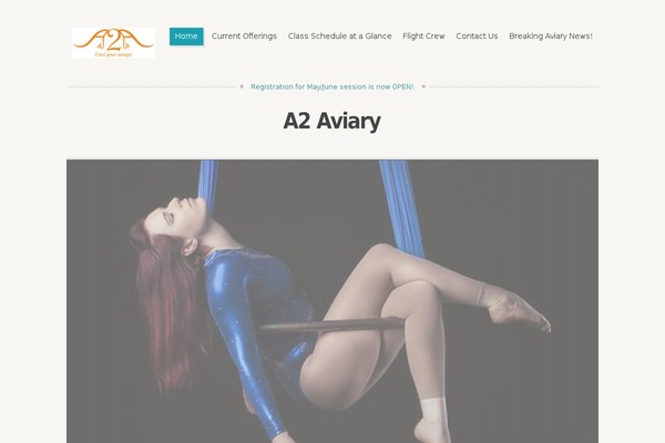 a2aviary.com site used Wp_mozzy5-v1.1