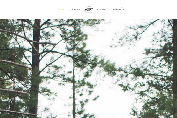 Bridge theme site design template sample