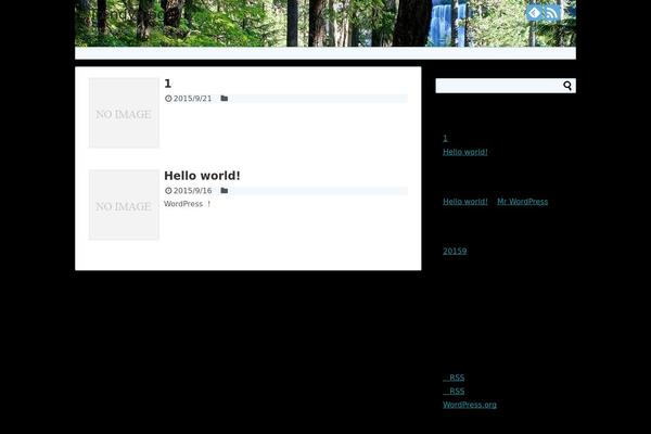 WordPress website example screenshot