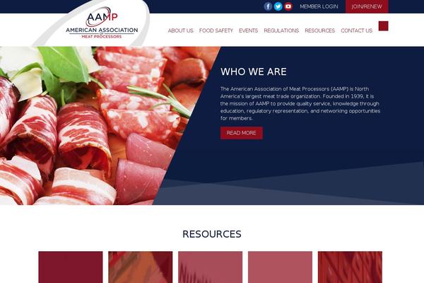 aamp theme websites examples