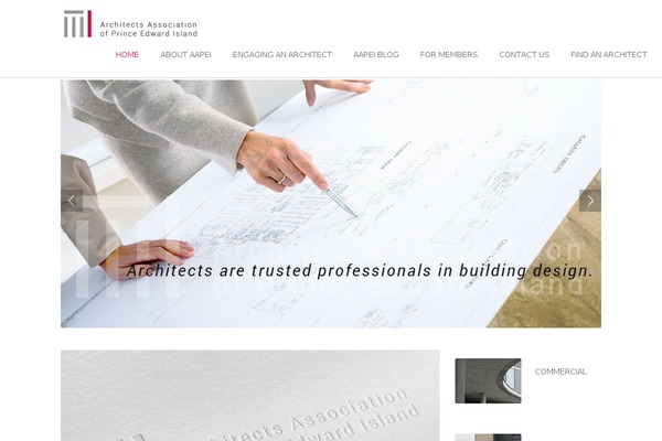 aapei.com site used Businessthemeres