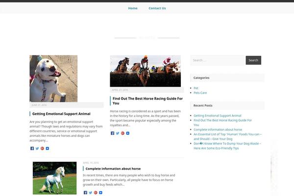 WordPress website example screenshot