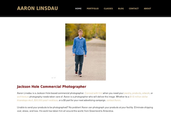 WordPress website example screenshot