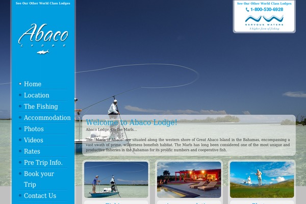 abaco theme websites examples