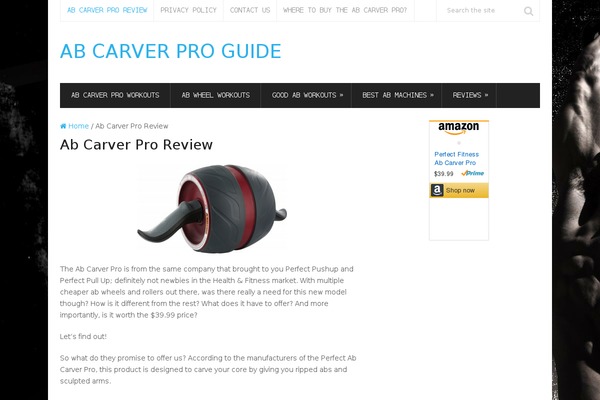 WordPress website example screenshot