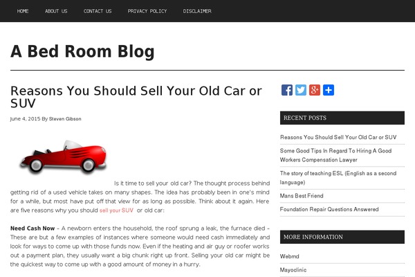 WordPress website example screenshot