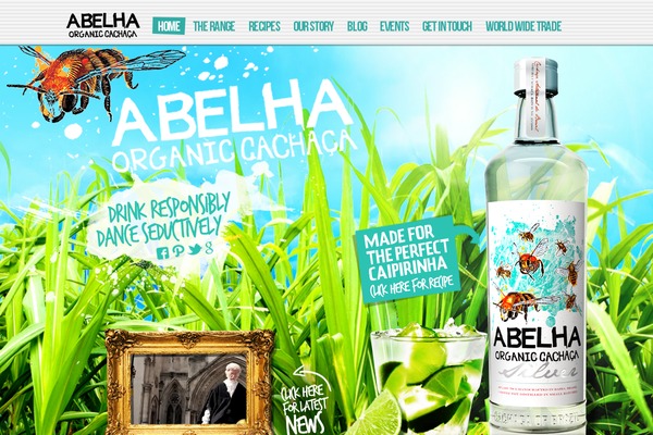 abelhacachaca.com site used Abelha