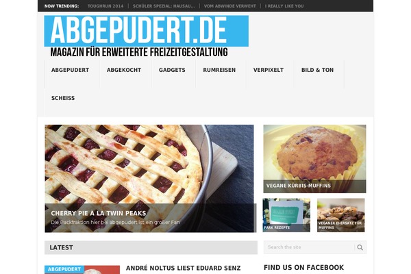 Point theme site design template sample
