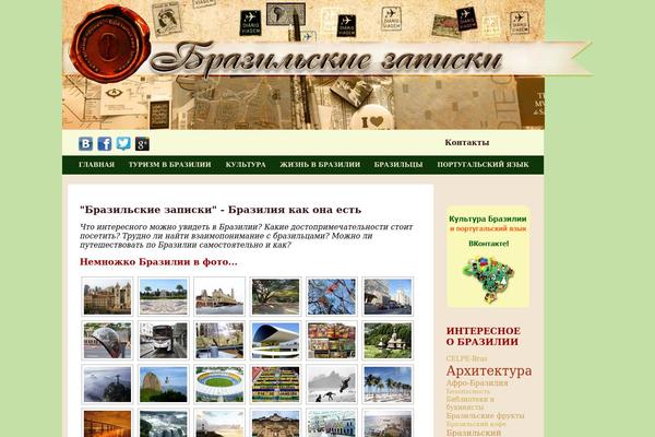 brazil theme websites examples