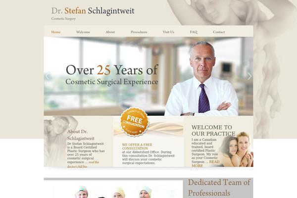 Dr theme site design template sample