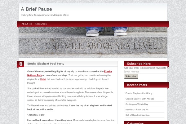 BlogoLife theme site design template sample