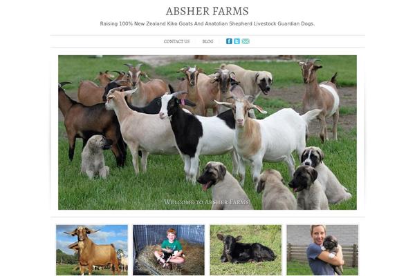 absherfarms theme websites examples