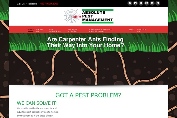 absolute-pest.com site used BugsPatrol