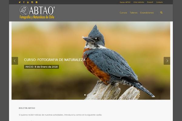 abtao.cl site used Salientnew