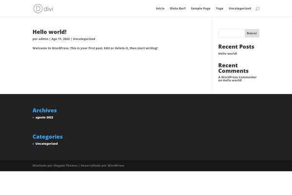 Divi theme site design template sample