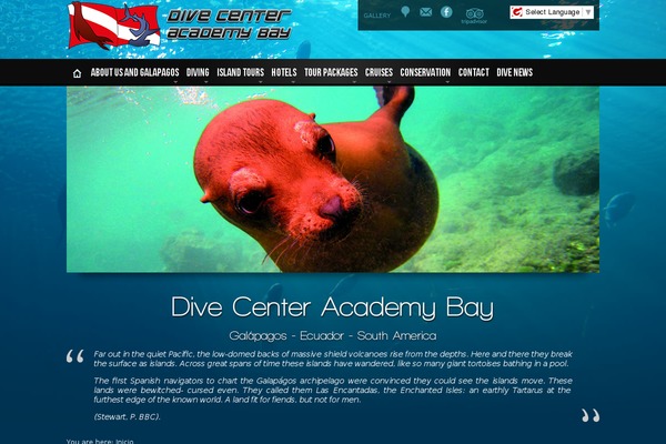 academybaydiving.com site used Voyager-child