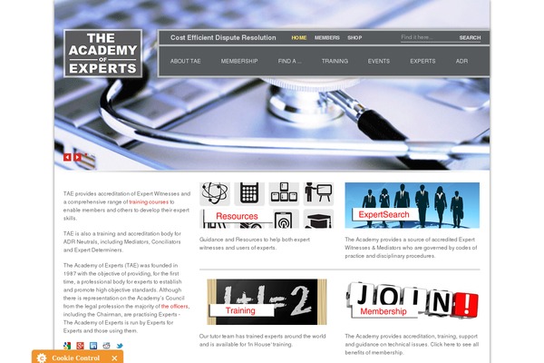 academyofexperts.org site used Taoe