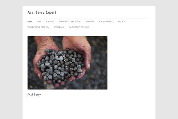 Twenty Twelve theme site design template sample