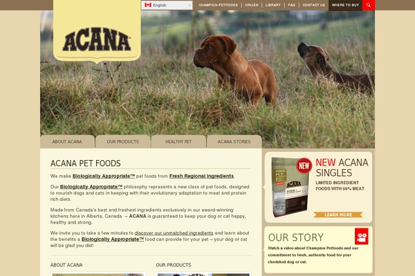 acana theme websites examples