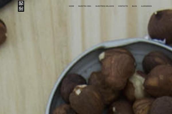 bridge45 WordPress theme, websites list used bridge45 theme bridge45 theme websites examples