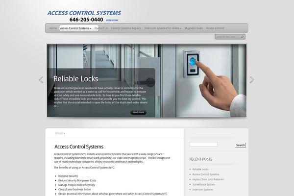 accesscontrolsystemsnyc.com site used TheProfessional