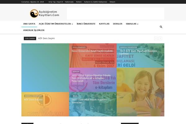 Newspaper theme site design template sample