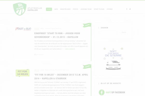 Blg theme site design template sample