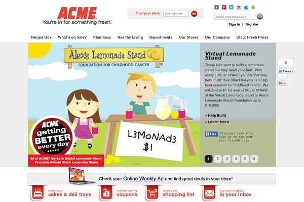 acme theme websites examples