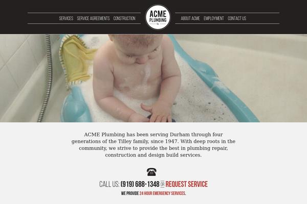 acme-plumbing theme websites examples