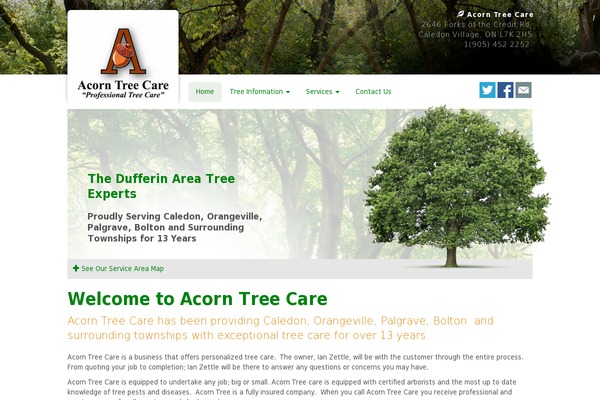 Acorn theme site design template sample