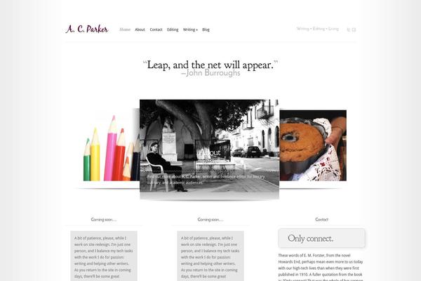 Modest theme site design template sample