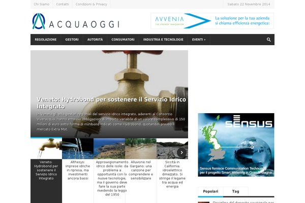 acquaoggi.it site used Magzimize